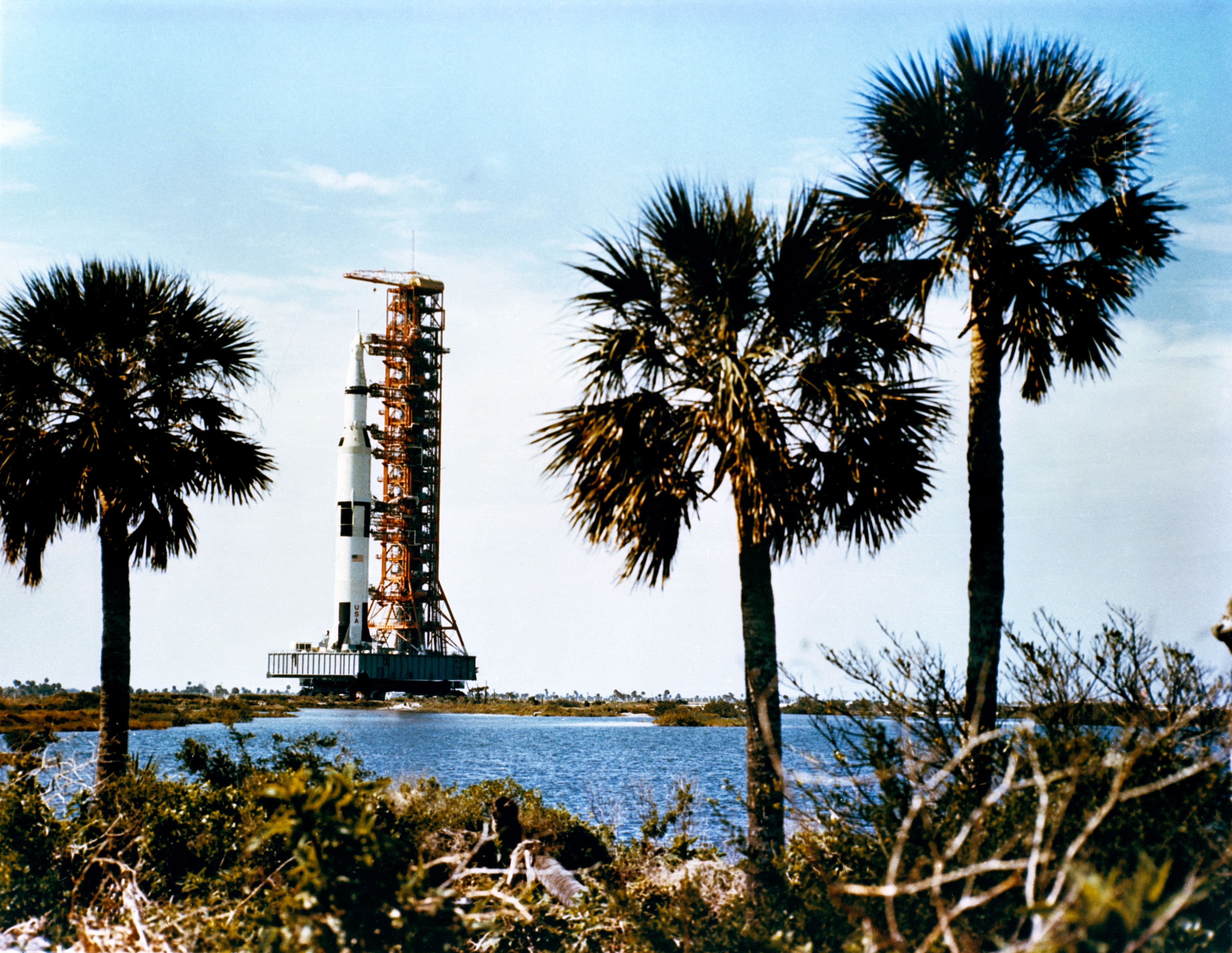Cover Image for The Human Condition