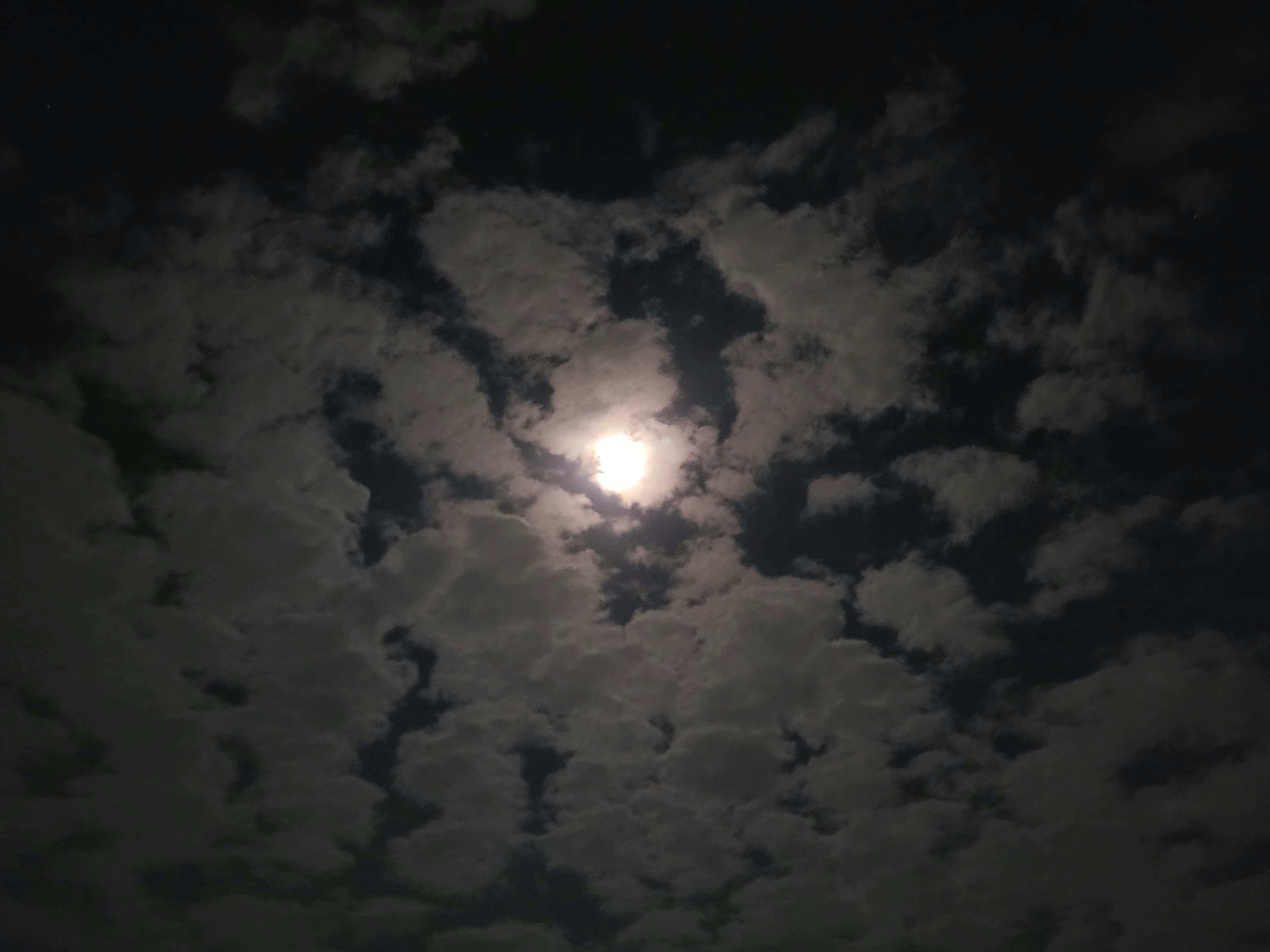Cover Image for Obituaries Collection