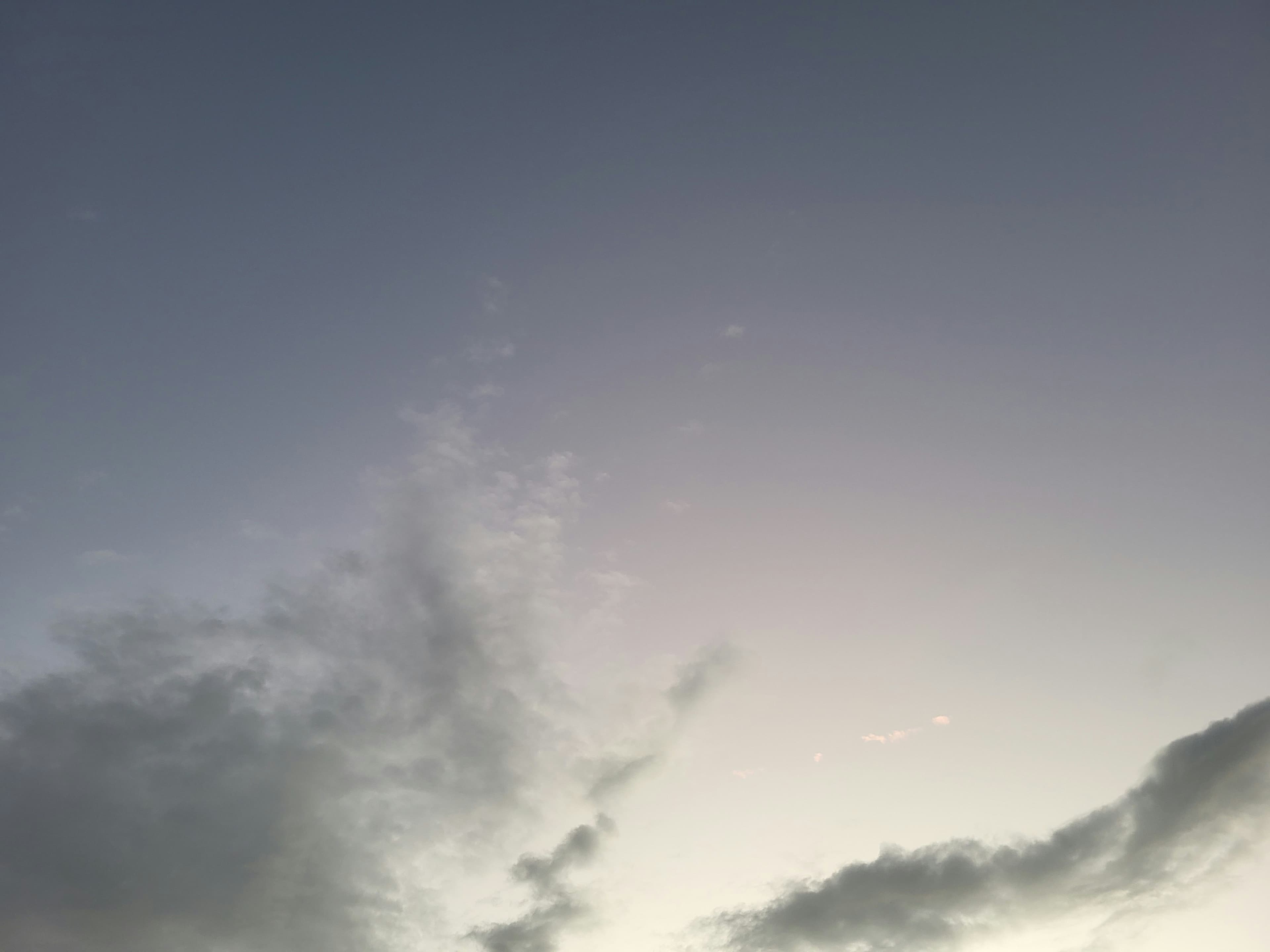 Cover Image for The Beauty & The Wisdom...