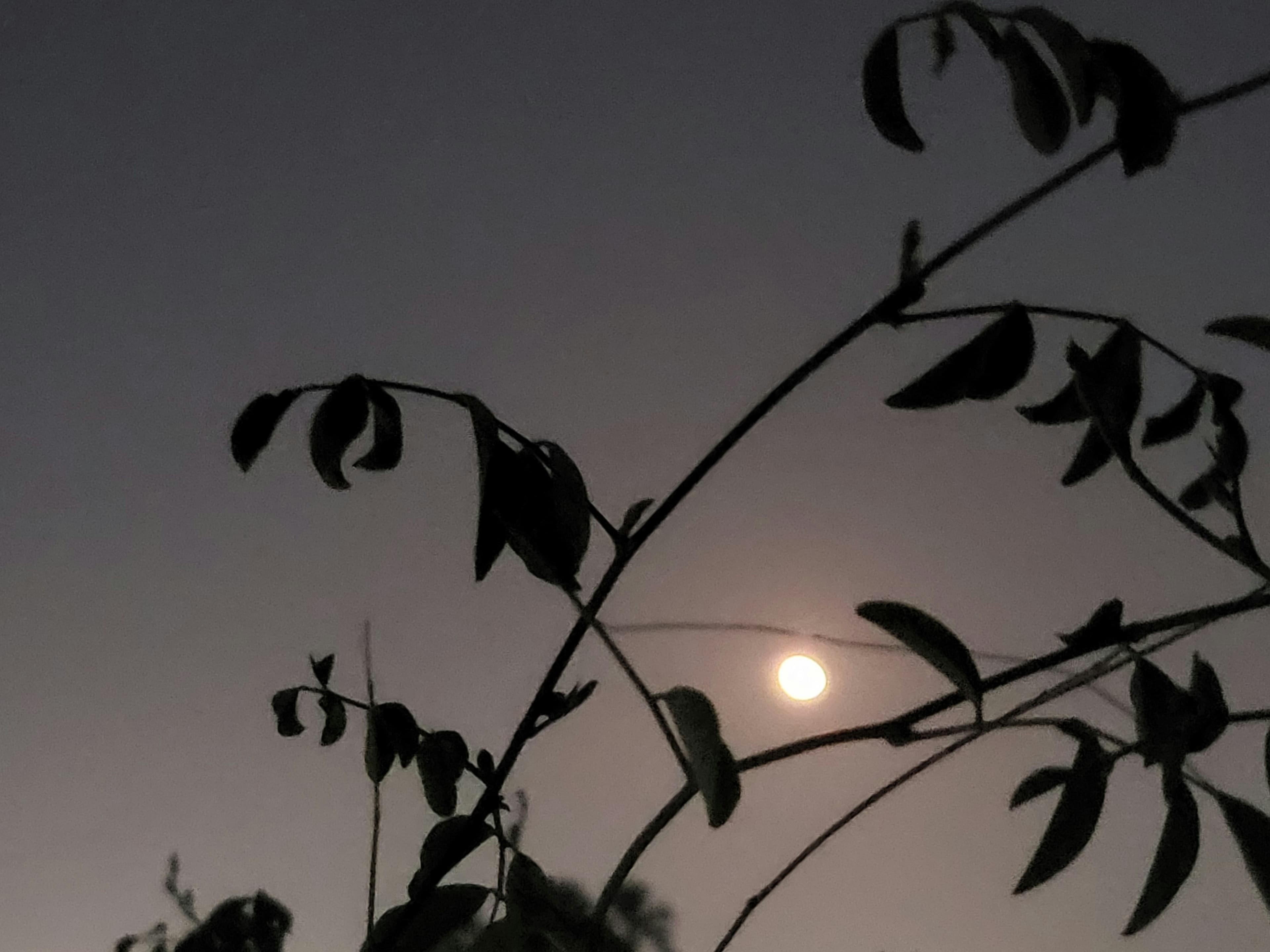 Cover Image for A Better Future…